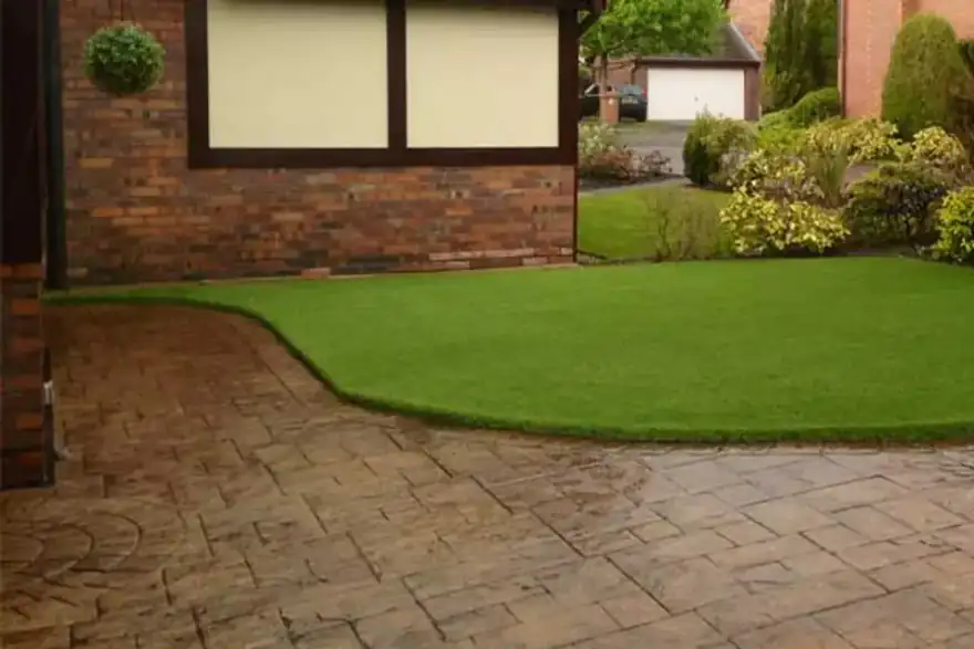Grass