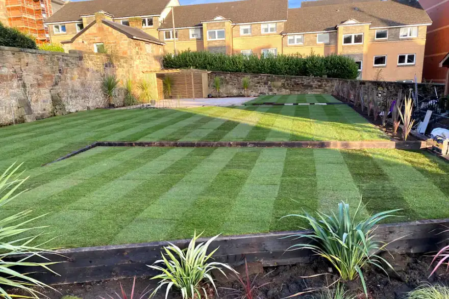 turfing 1