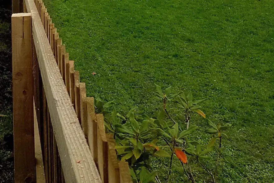 lawn mowing
