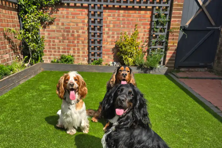 Artificial grass installation by K9 Turf