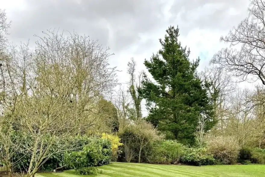 Freshly laid striped turf lawn in a large Belfast garden