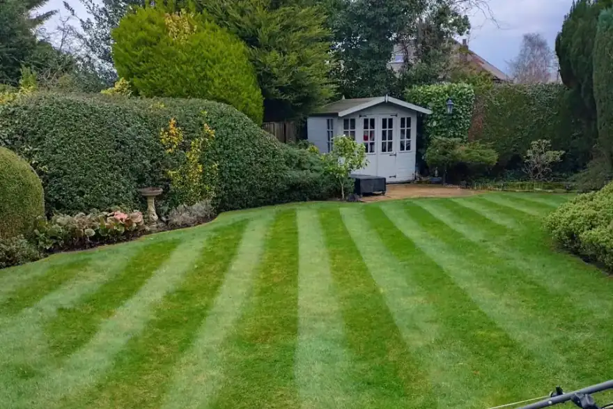 Artificial grass installation by Landscape Gardeners Belfast