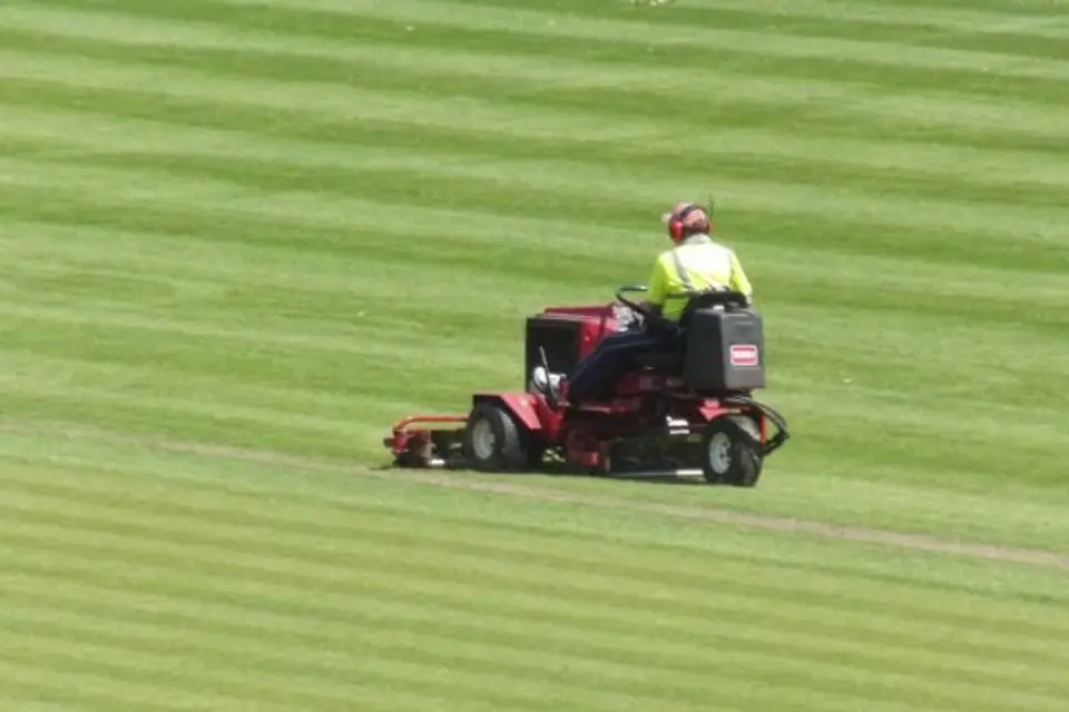 Professional groundsman mowing striped turf on a ride-on mower