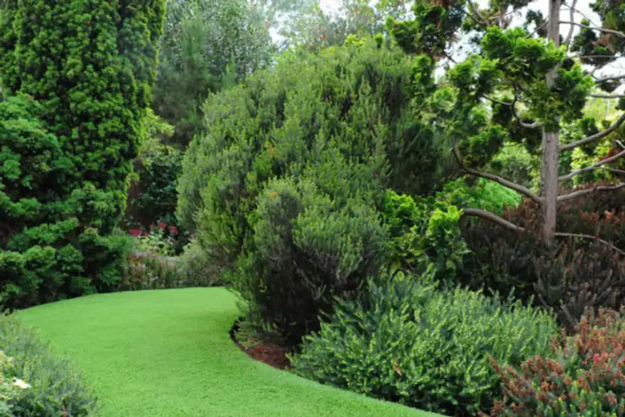 LazyLawn Edging Feature in Shaped garden