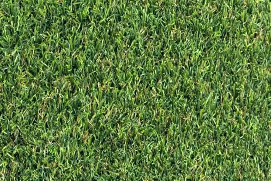 30mm Superlawn Natural £17.95 m2