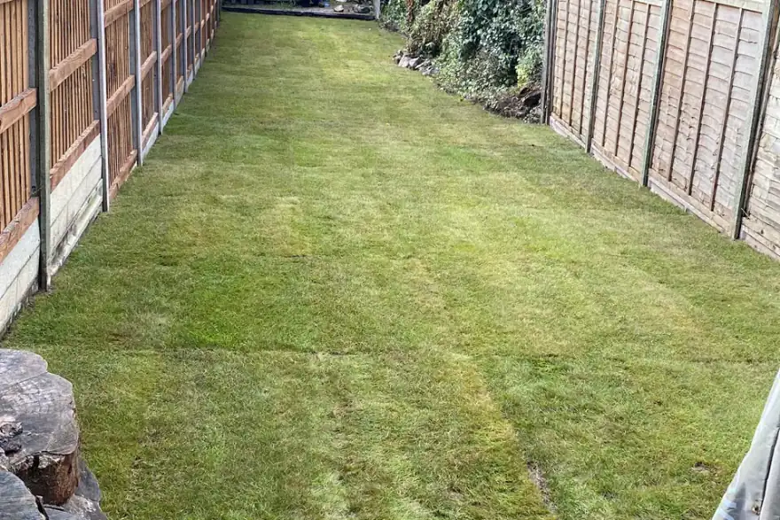 Artificial grass installation by LTB landscaping