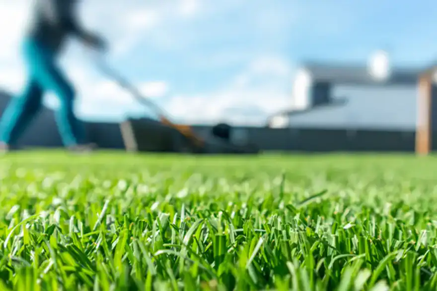 Artificial grass installation by McAllister Landscaping
