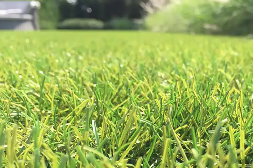 Moray Artifical Grass Lawns