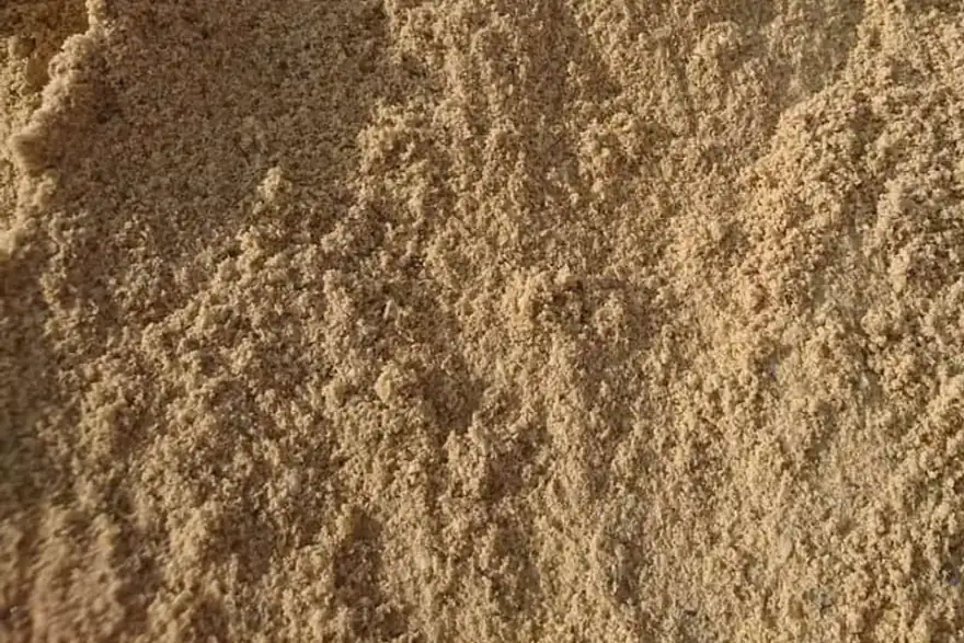 Close-up of a pile of Sharp Sand - Loose with a textured surface and subtle shadows. The grains vary in color, creating a natural, uneven appearance reminiscent of sand found on pristine beaches.