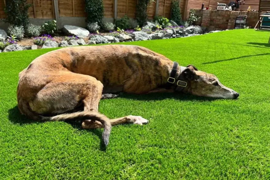 Artificial grass installation by Leading UK Supplier of Artificial Grass for Trade and DIY