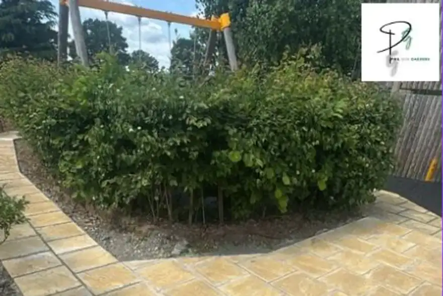 Artificial grass installation by Philgud Gardens