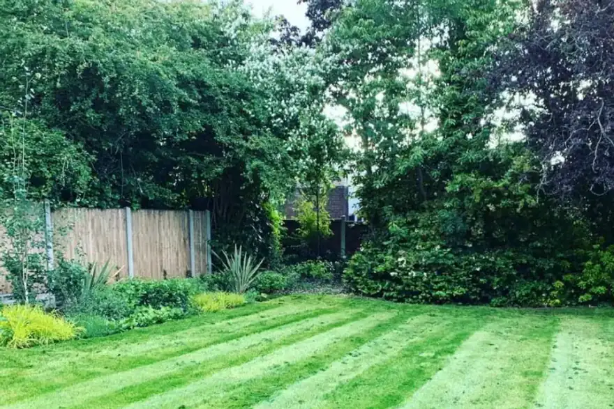 Artificial grass installation by PI Gardening