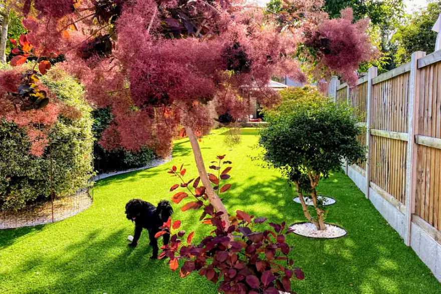 Artificial grass installation by Premier Artificial Lawns
