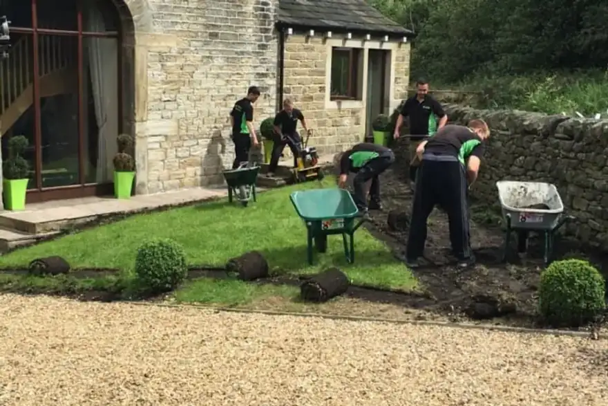 Pure artificial grass team