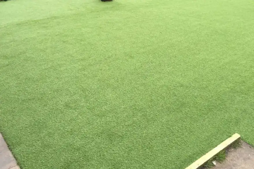 Ready Grass