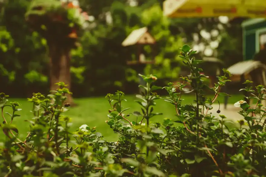 Artificial grass installation by Rendall's Garden and Landscape