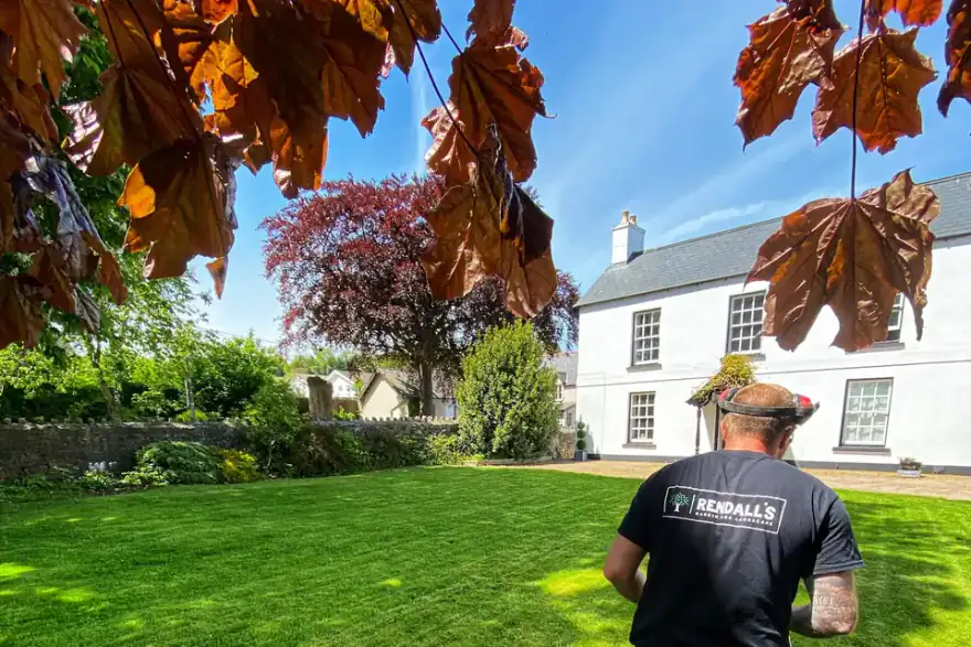 Artificial grass installation by Rendall's Garden and Landscape