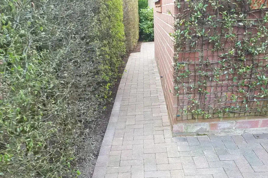 Artificial grass installation by RP Build and Landscapes