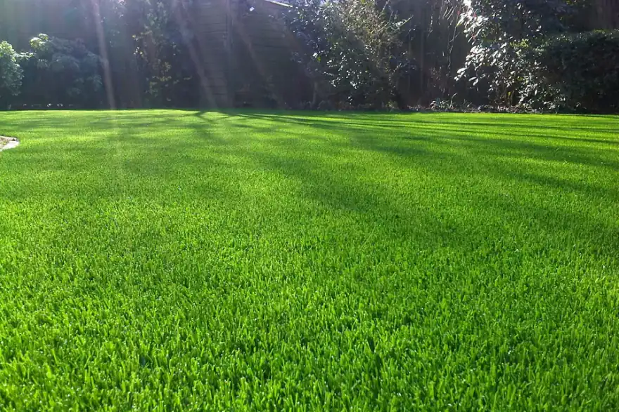 Artificial grass installation by Sheridan Grass Solutions