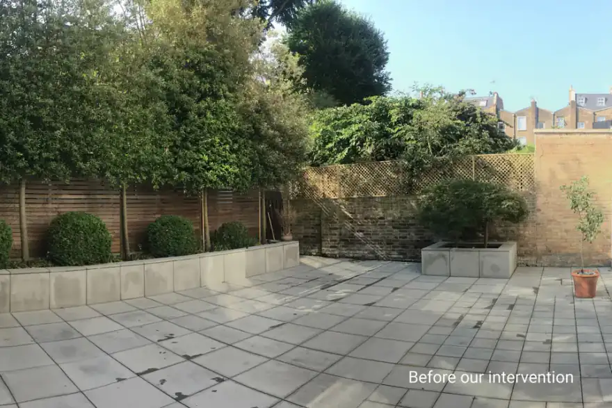Artificial grass installation by Shoots & Leaves