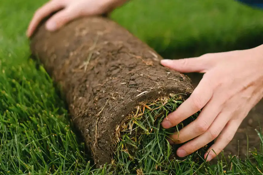 Real Turf Installation Shropshire