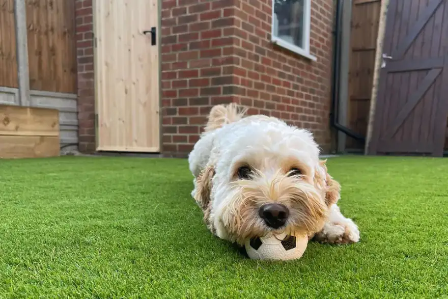 Artificial grass installation by Simple Grass - Artificial Grass