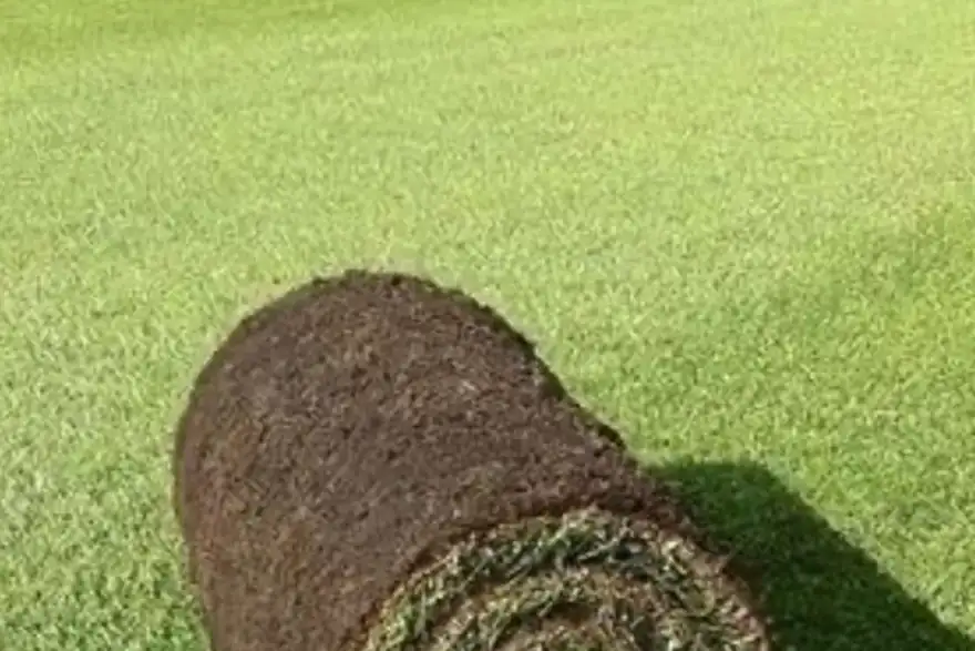 Artificial grass installation by SJ Green Landscaping