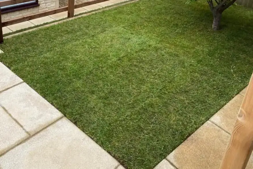 Gardening and hedge trimming by SJS in Gloucestershire