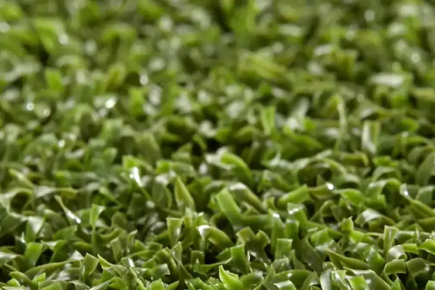pro-putt-artificial-grass-2