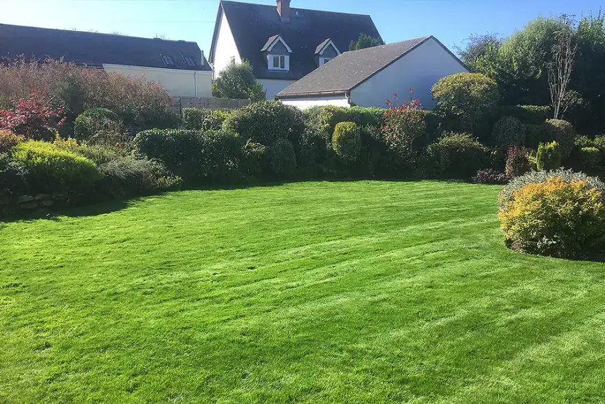 Garden Landscaping Project in Carbis Bay Cornwall
