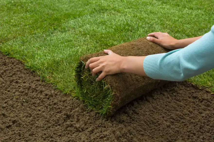 Artificial grass installation by Talbot Turf