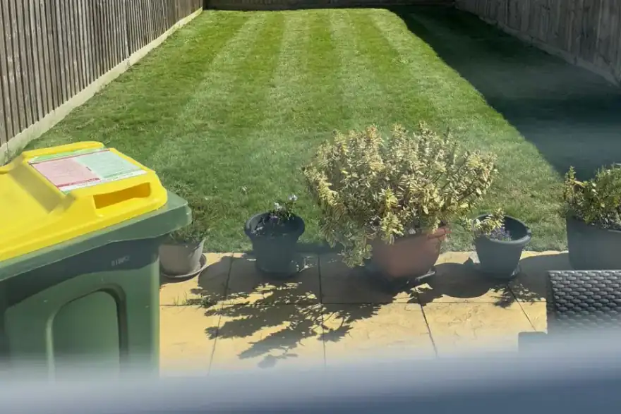 Artificial grass installation by The Garden Landscaping Company Ltd