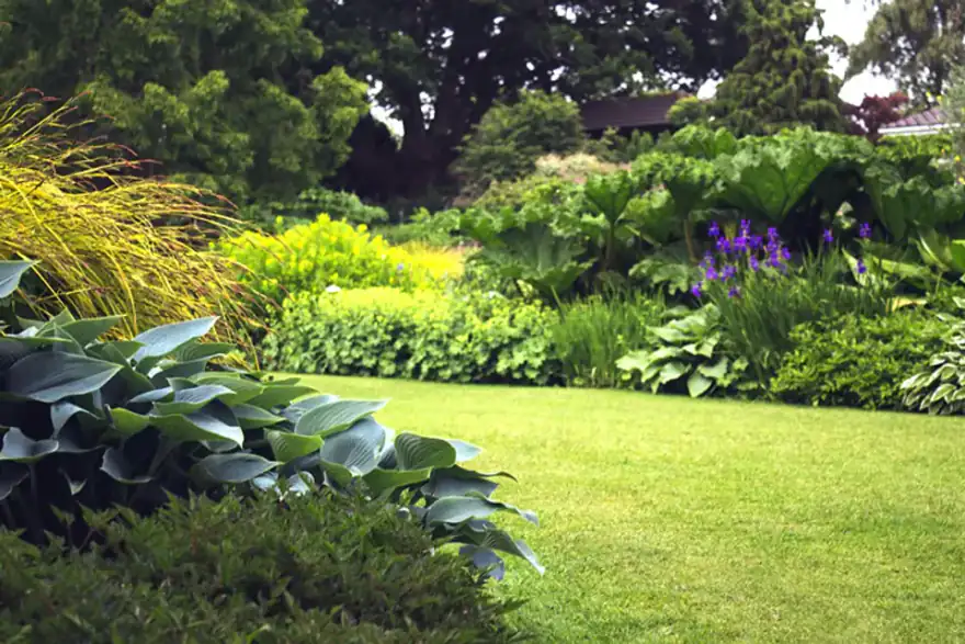 Garden Maintenance