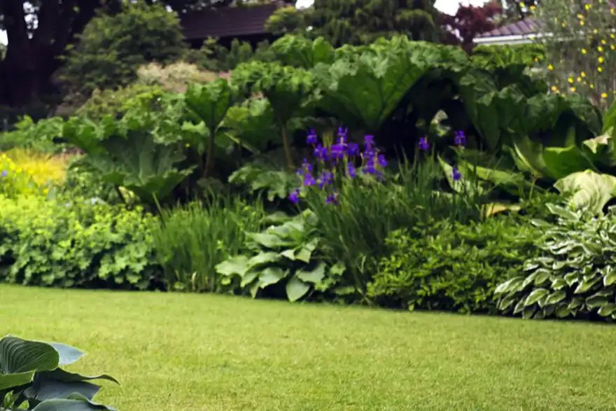 Threapland Landscaping Ltd
