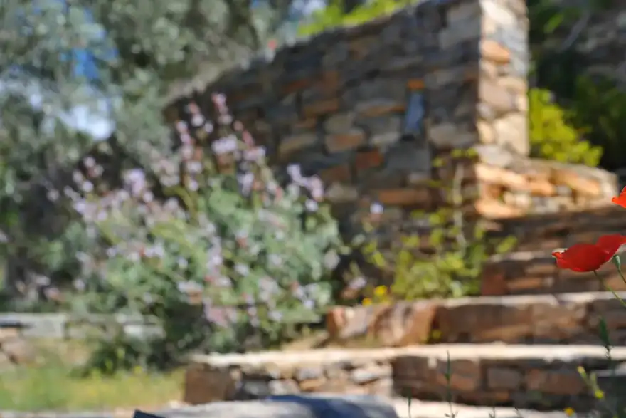Threapland Landscaping Ltd