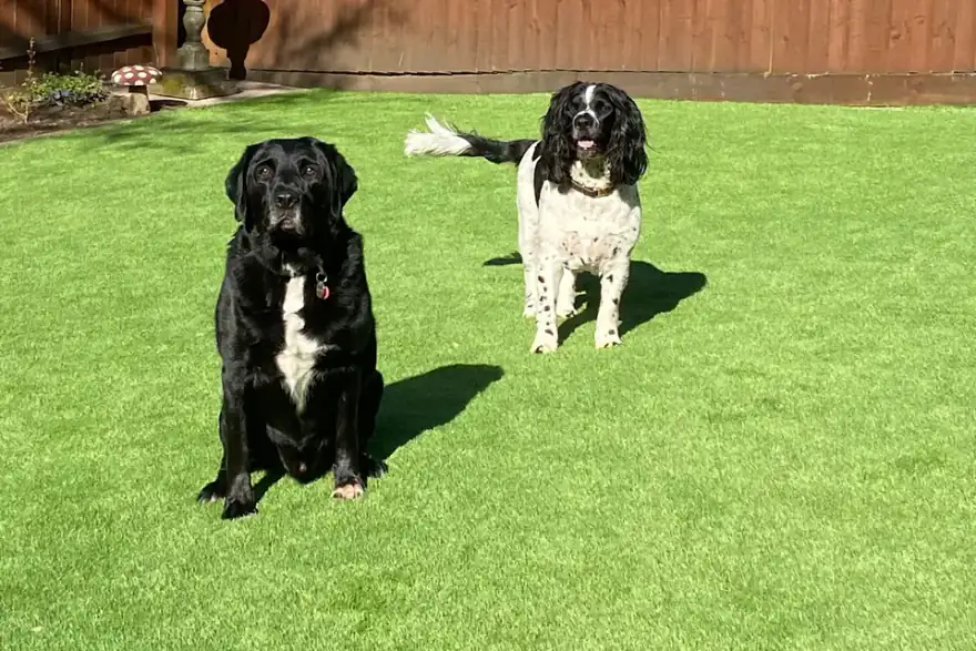 Artificial grass installation by Top Dog Turf