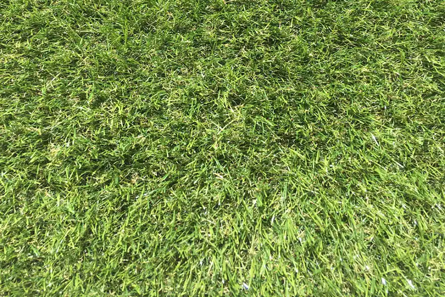 Artificial grass installation by Touch of Grass