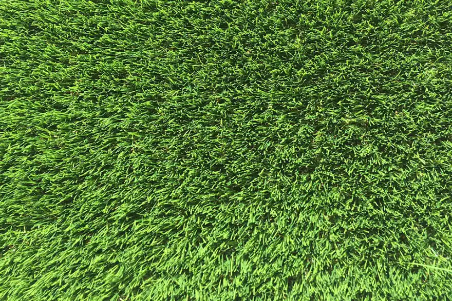 Artificial grass installation by Touch of Grass