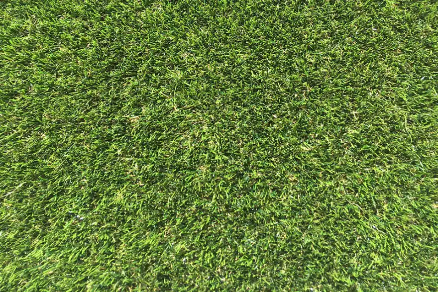 Artificial grass installation by Touch of Grass