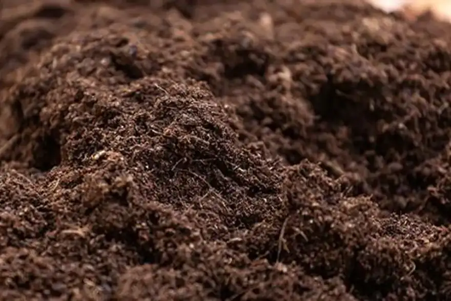 Turf and Topsoil in Baildon