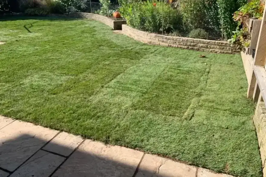 Freshly laid seeded turf in a back garden in Cornwall by Trelawny Turf Supplies