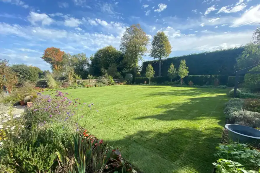 before and after redone grass and plants