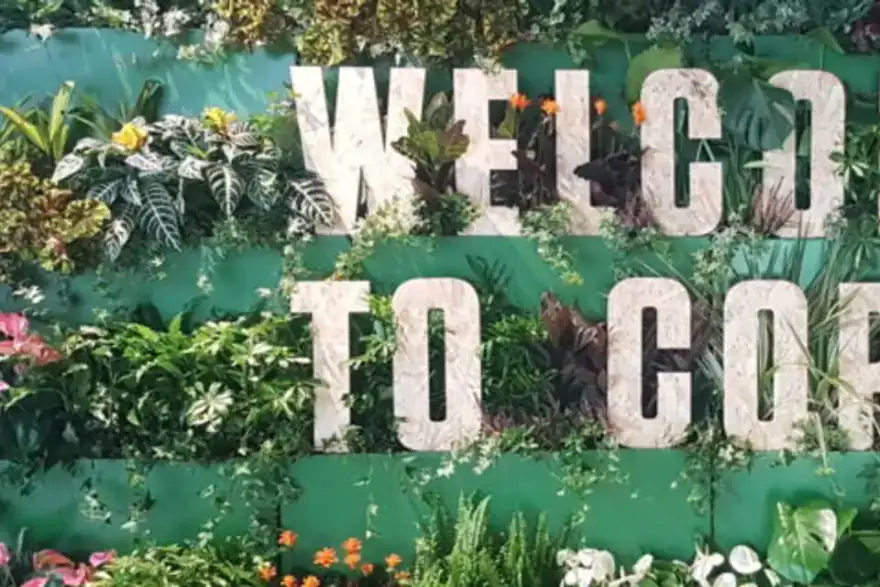 VERTICAL LIVING WALLS SCOTLAND