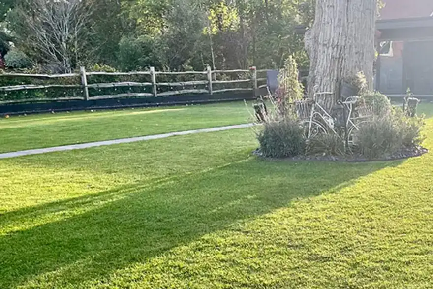 Artificial grass installation by Verdant Landscape Gardens