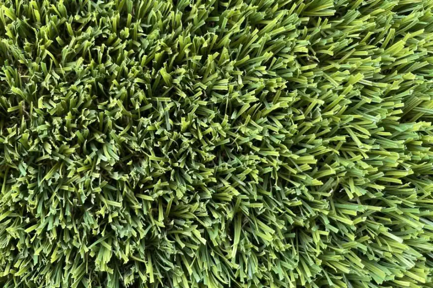 Swan Valley Buffalo Artificial grass Perth Wa turf gurus