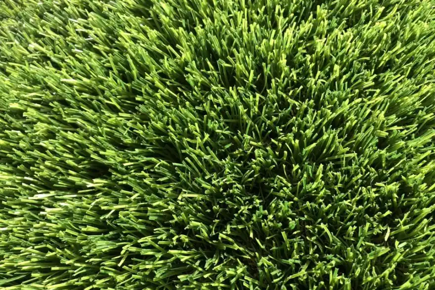 Denmark spring Wa turf gurus Perth