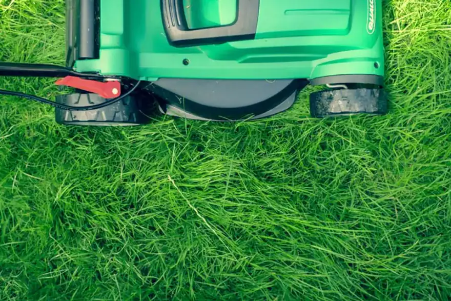 Artificial grass installation by Xscapes Landscaping, Design & Build